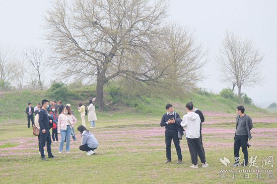 微信圖片_20220331161611_副本.jpg