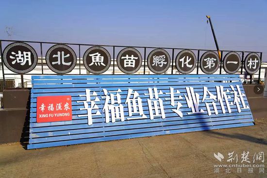 6、湖北魚苗第一村_副本.jpg