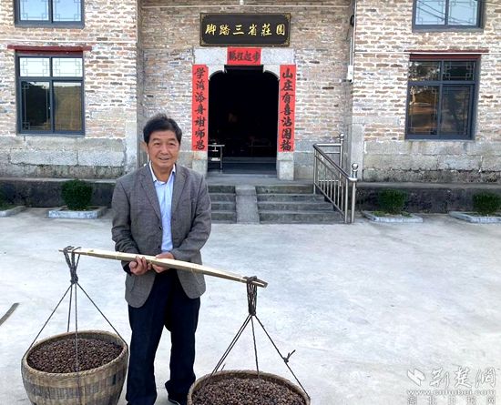何道關(guān)與自己種的油茶果。黃錚 攝_副本.jpg.jpg
