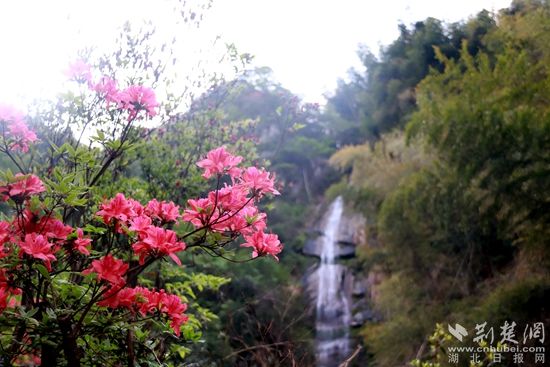 黃龍山頂，風(fēng)景如畫 黃錚 攝_副本.jpg.jpg